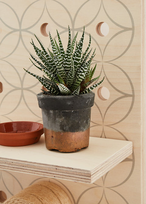 wooden pegboard shelf with succulent pot pegboard in background with grey floral print