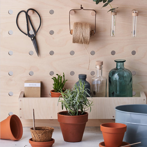 detail of plywood pegboard with plant pots and string and germinating tubes