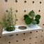 shelf with 3 x cut-outs for pegobard